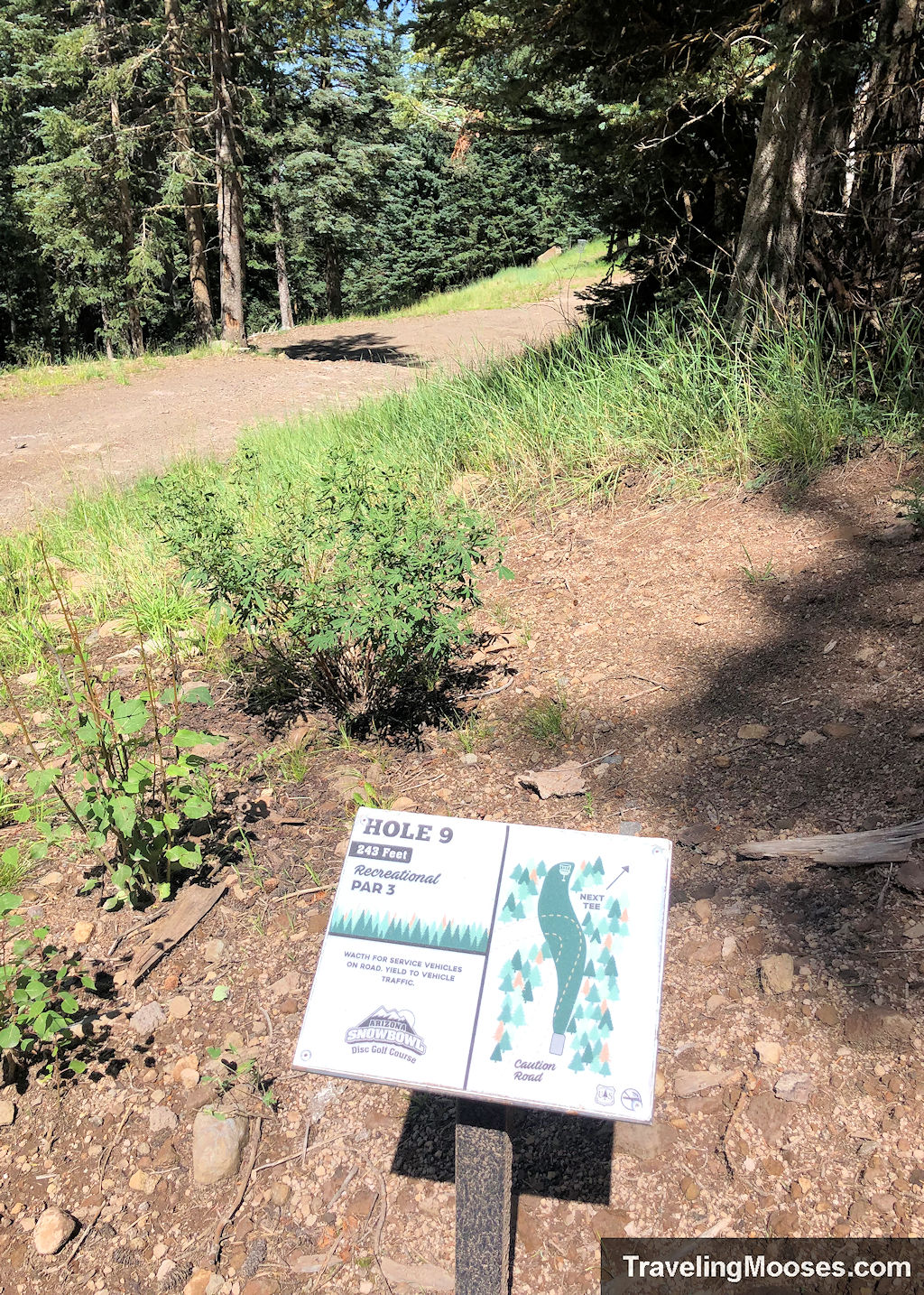 Sign marker for hole # 9 at the arizona snowbowl disc golf course