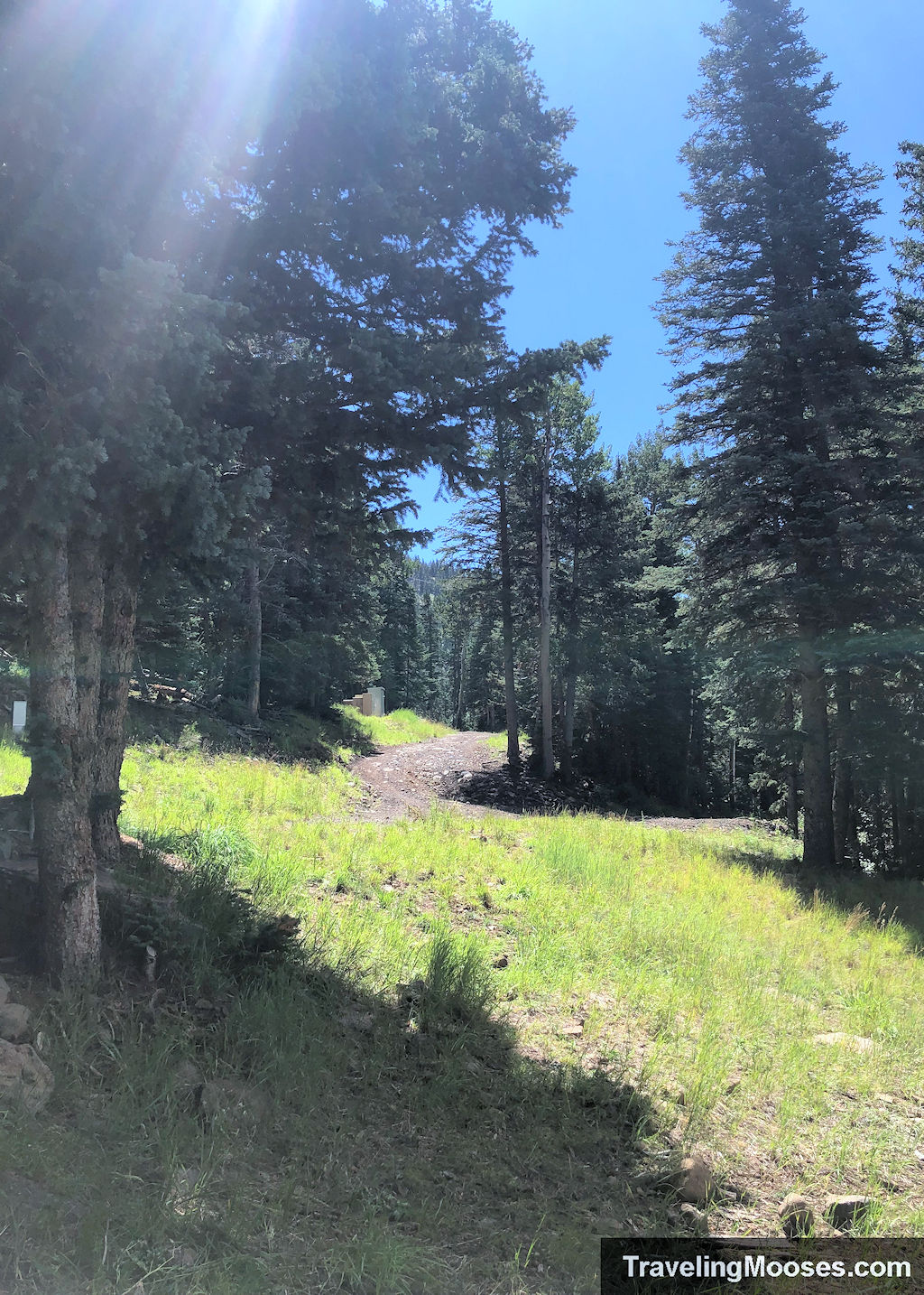 Looking back towards the start of hole nine