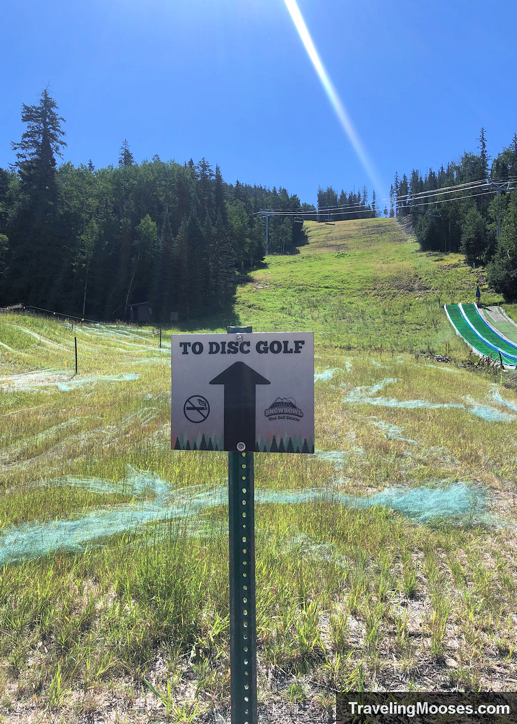 Arrow point to disc golf course at Snowbowl Ski Resort