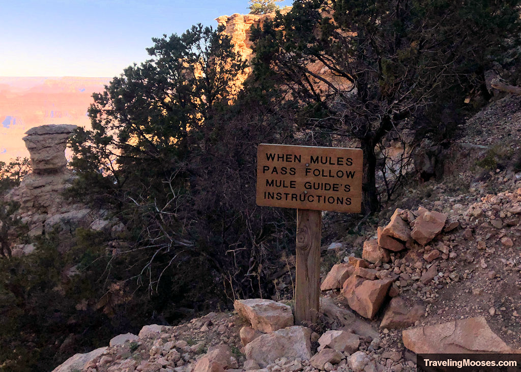 Yield to Mules along South Kaibab Trail