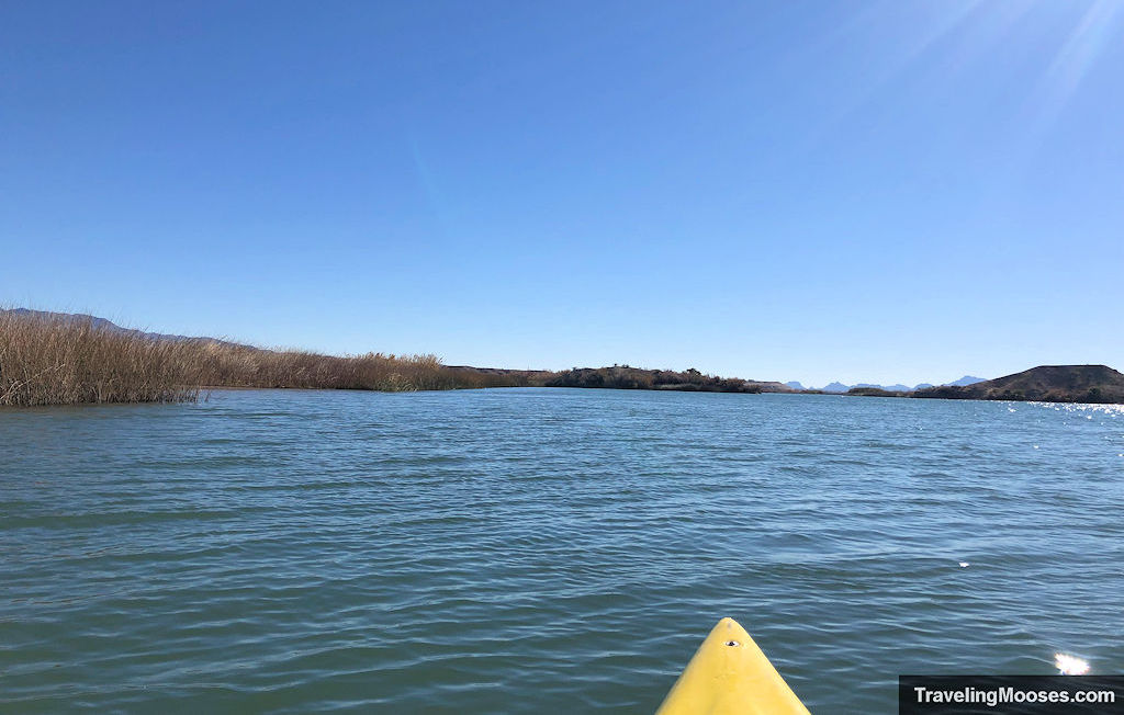 kayak pointed down the colorado river wish cattails lining the shore