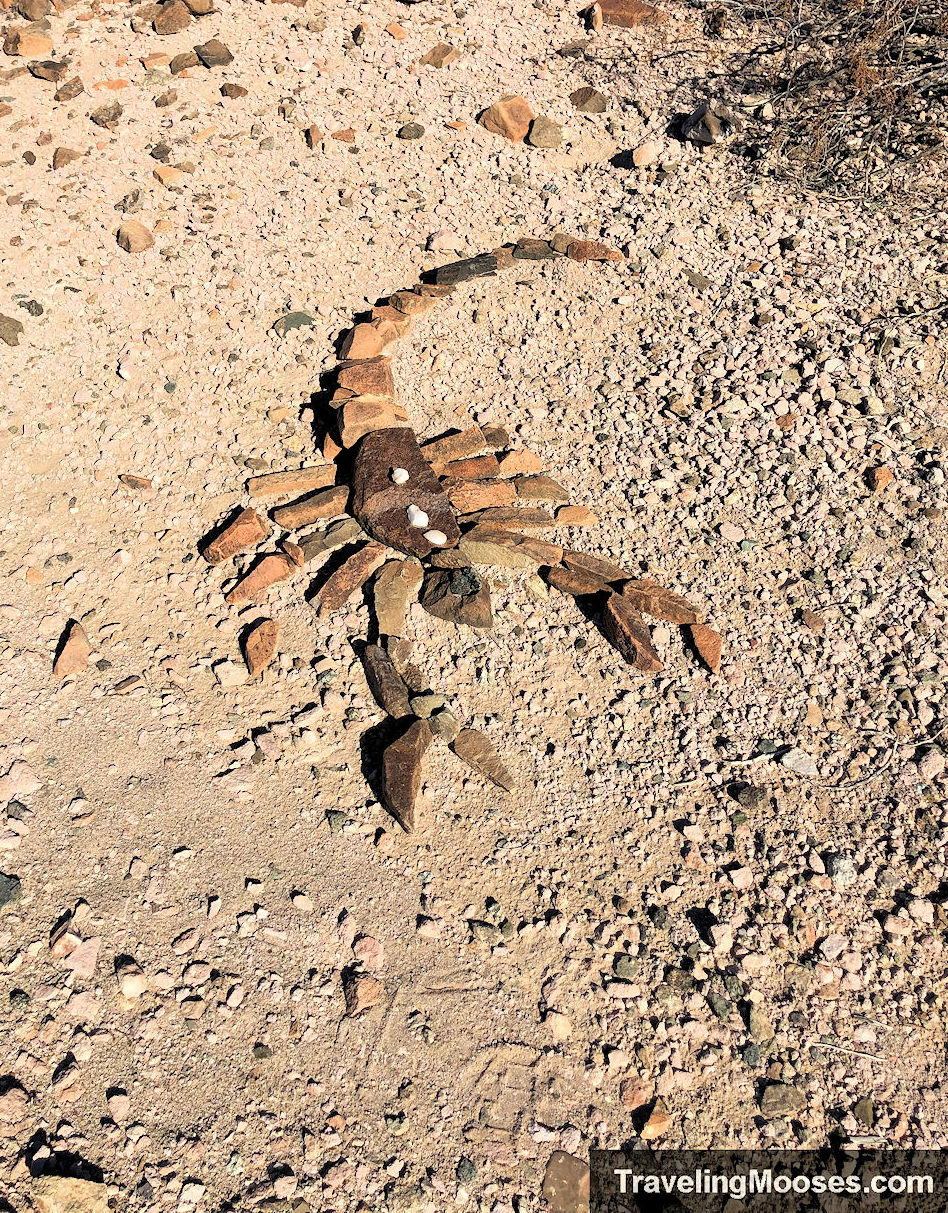 stones shaped into a scorpion on the ground in the desert