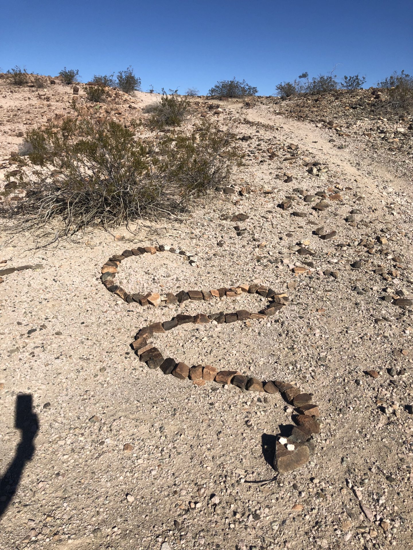 Stones shaped like a snake on the desert floor