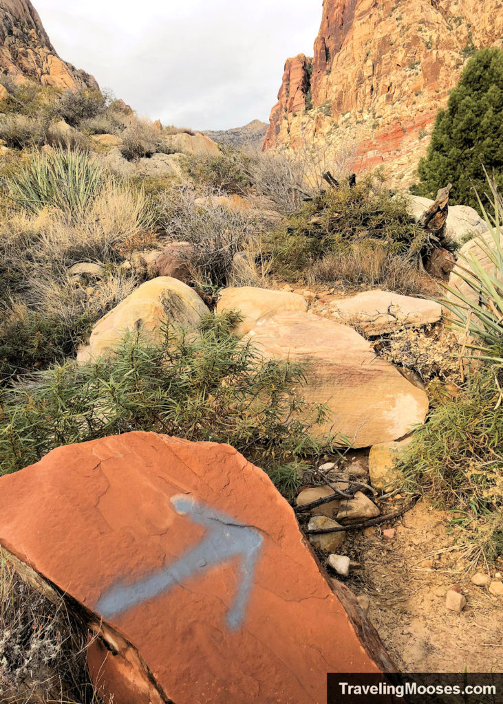 Arrow painted on a rock along First Creek Canyon Trail