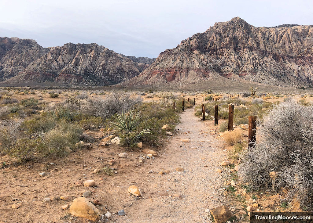 Path winding towards Red Rock Canyon near Las Vegas