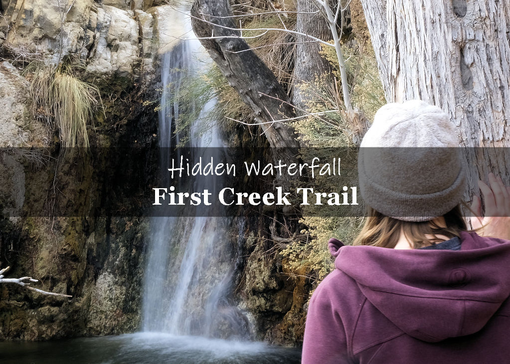 Hidden Waterfall on First Creek Canyon Trail