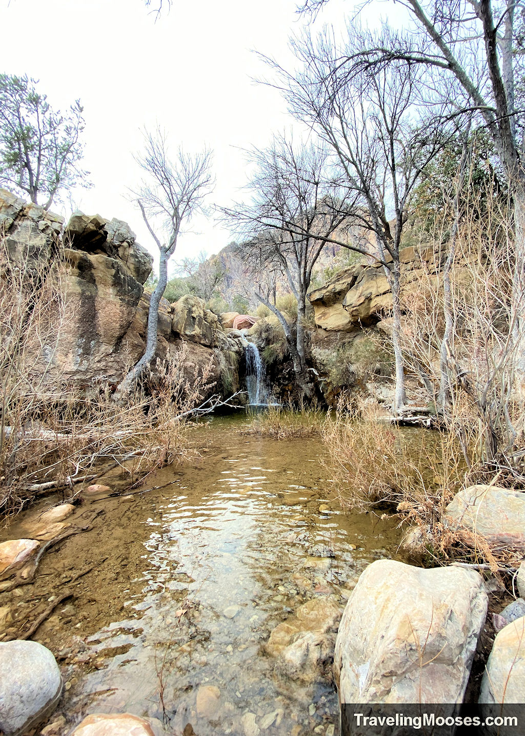 First Creek Canyon Trail - finding the hidden waterfall
