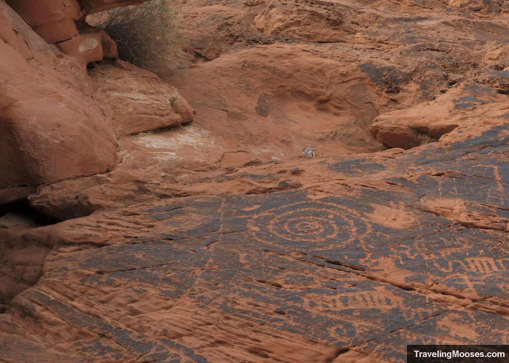 Petroglyphs carved in red sandstone wall