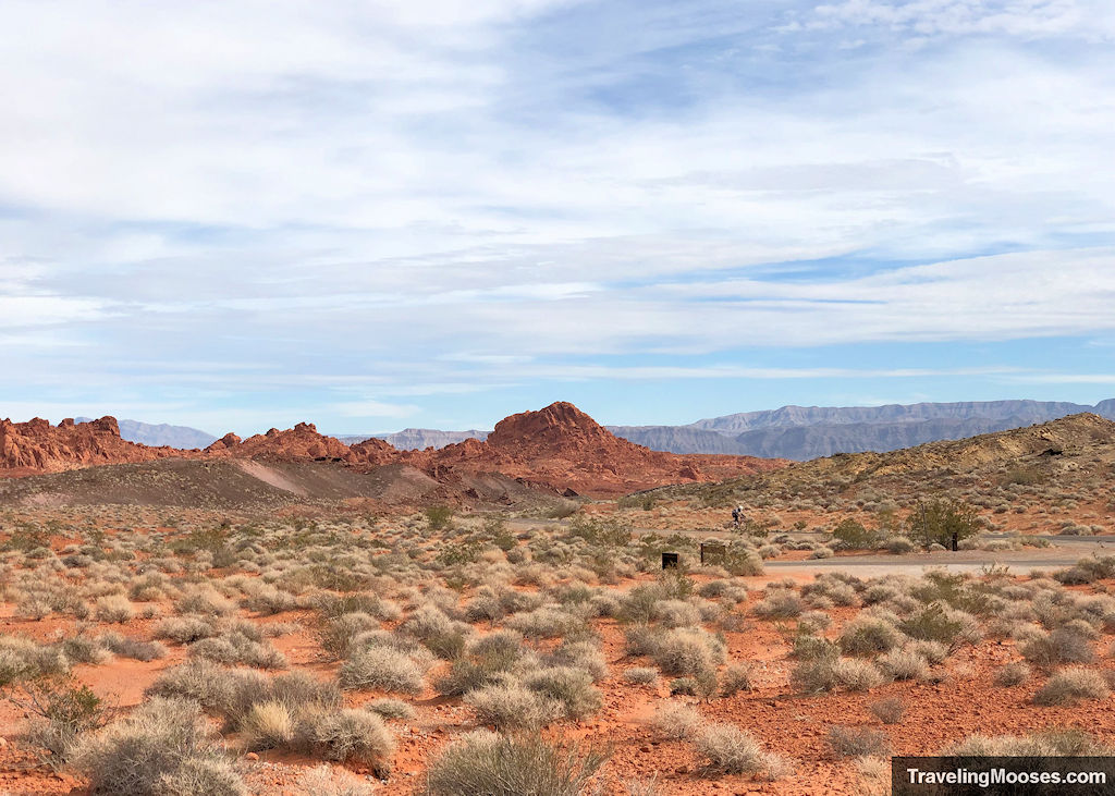 Lone Rock Landscape