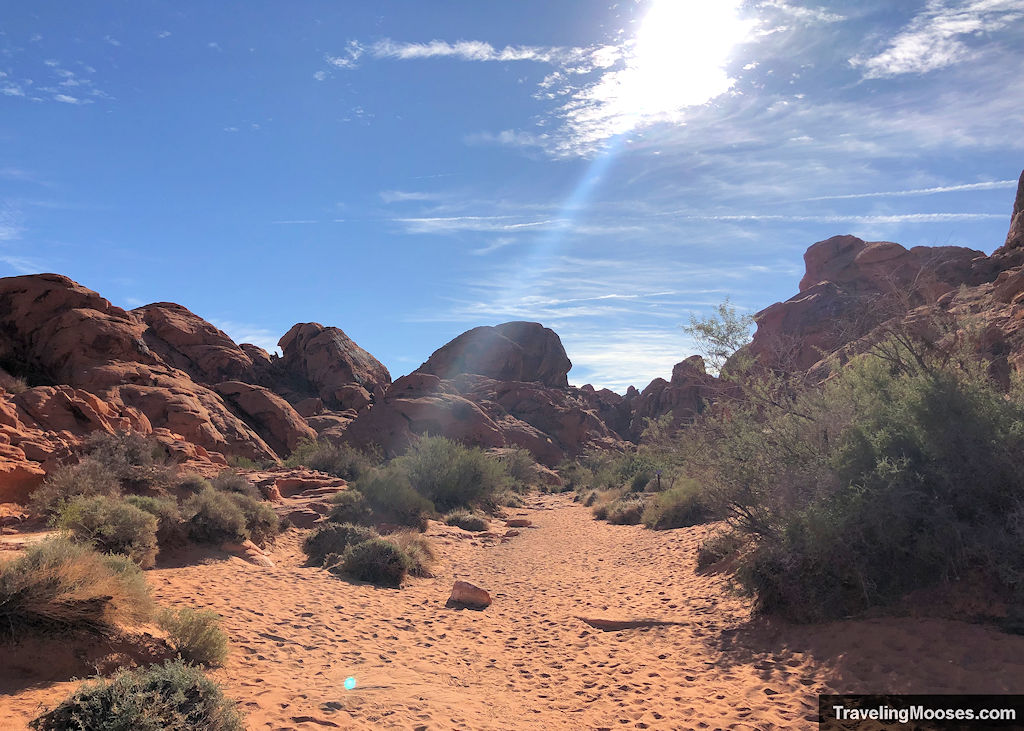 Petroglyph Canyon Trail - Valley of Fire