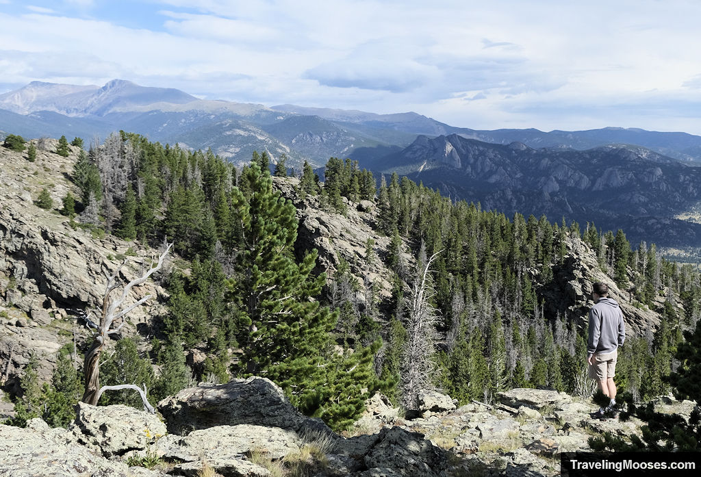 Teddy's Teeth summit