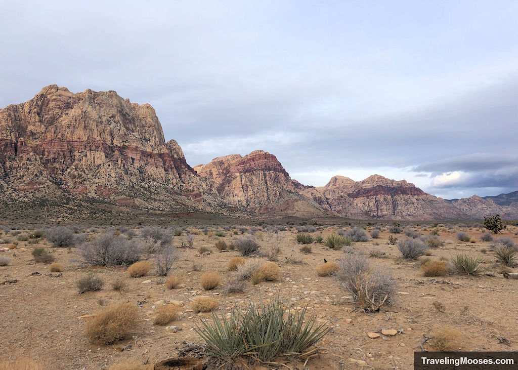 Red Rock Mountains in the distance across the desert floor