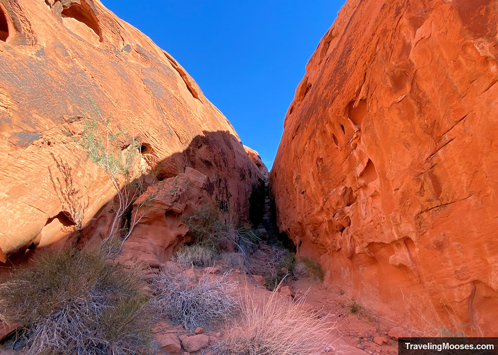 Slot canyon along Petroglyph Canyon trail