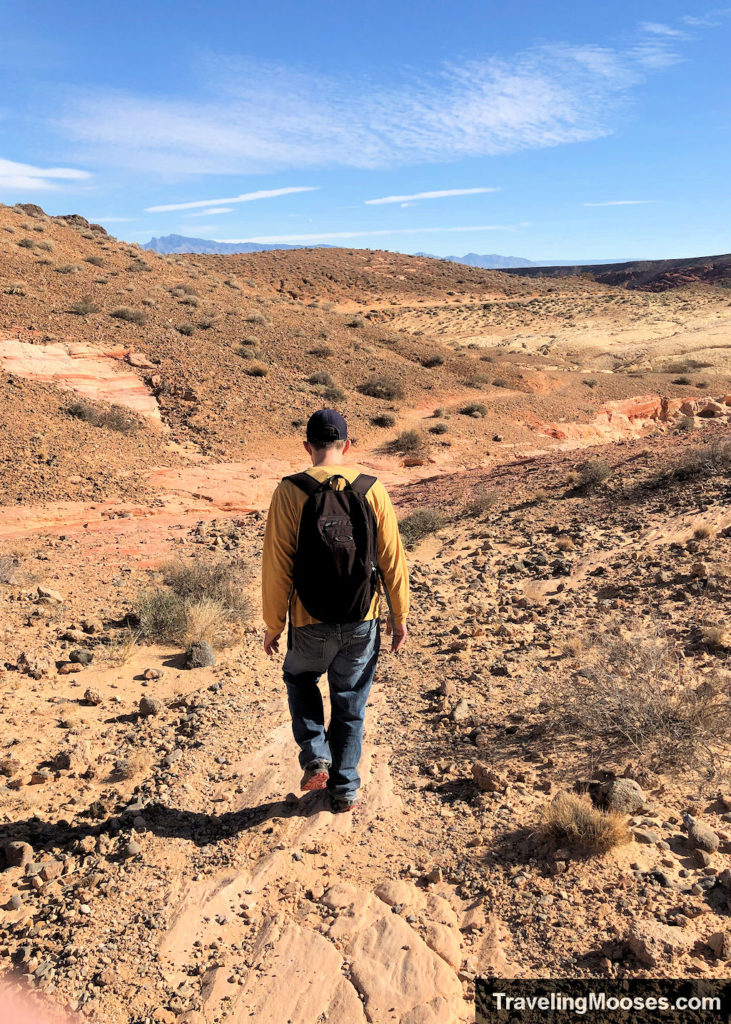 Man walking down a desert trail