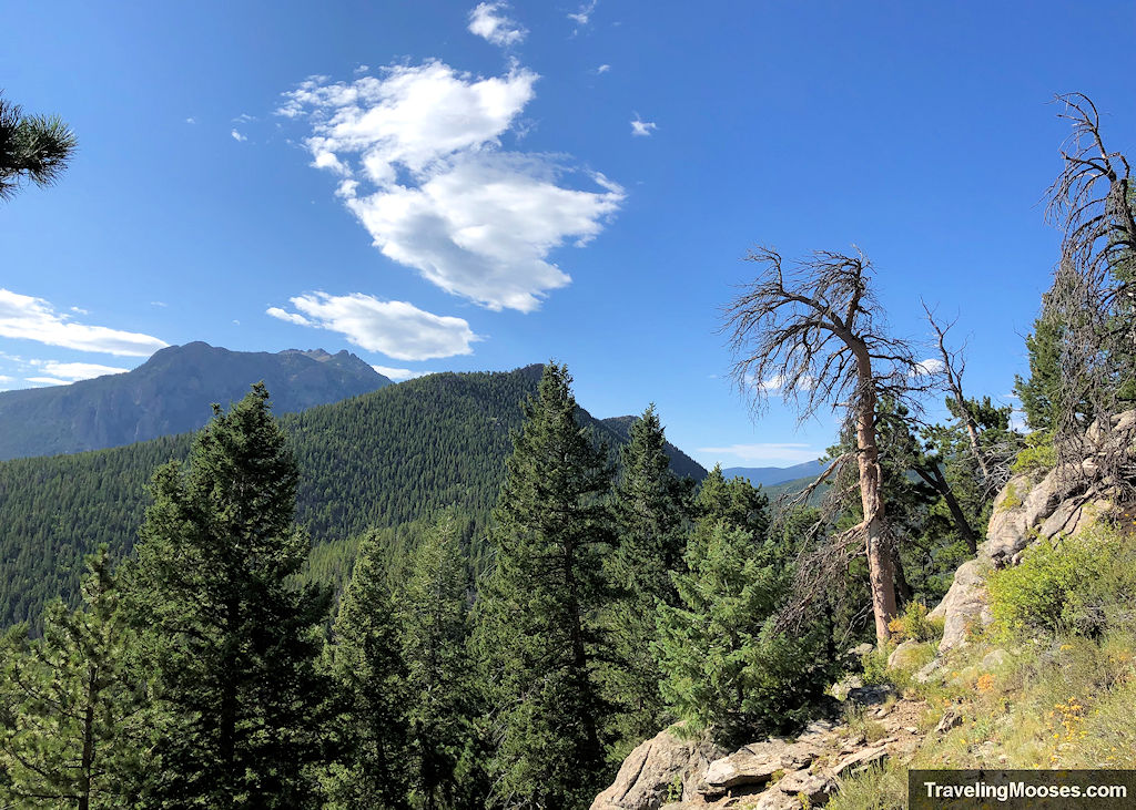 View from Ram's Mountain Trail