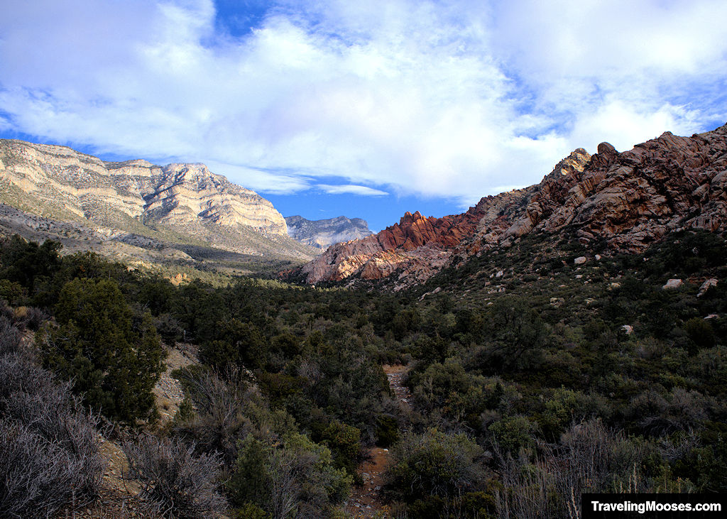 Hiking White Rock Mountain Loop Trail – Red Rock Canyon