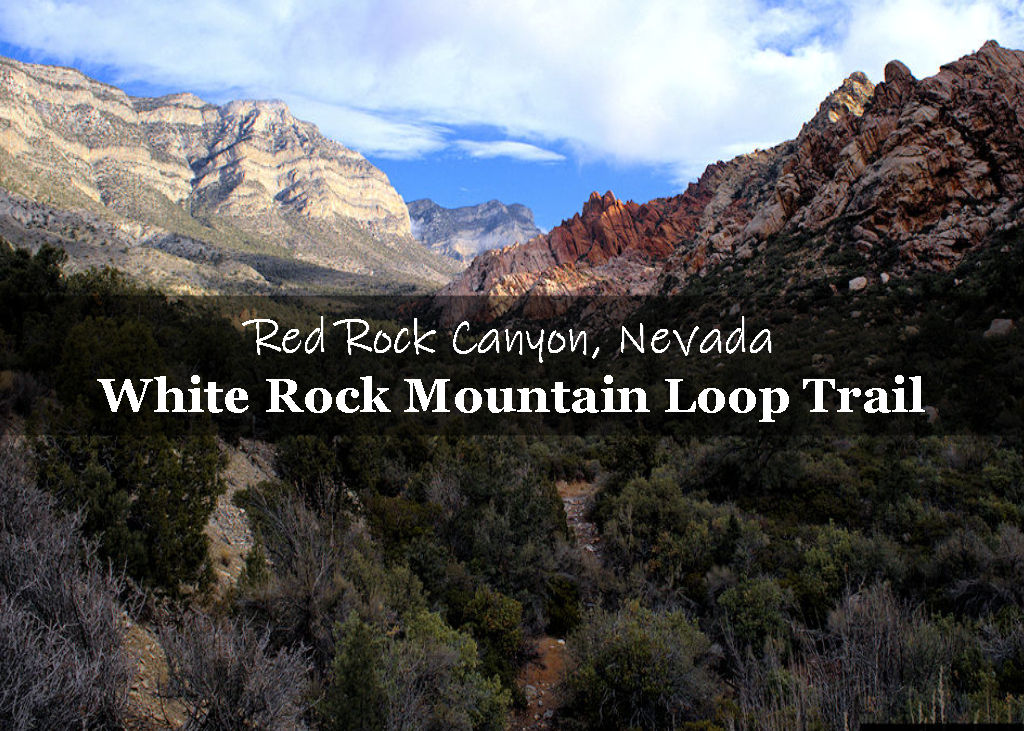 White Rock Mountain Loop Trail Red Rock Canyon NCA