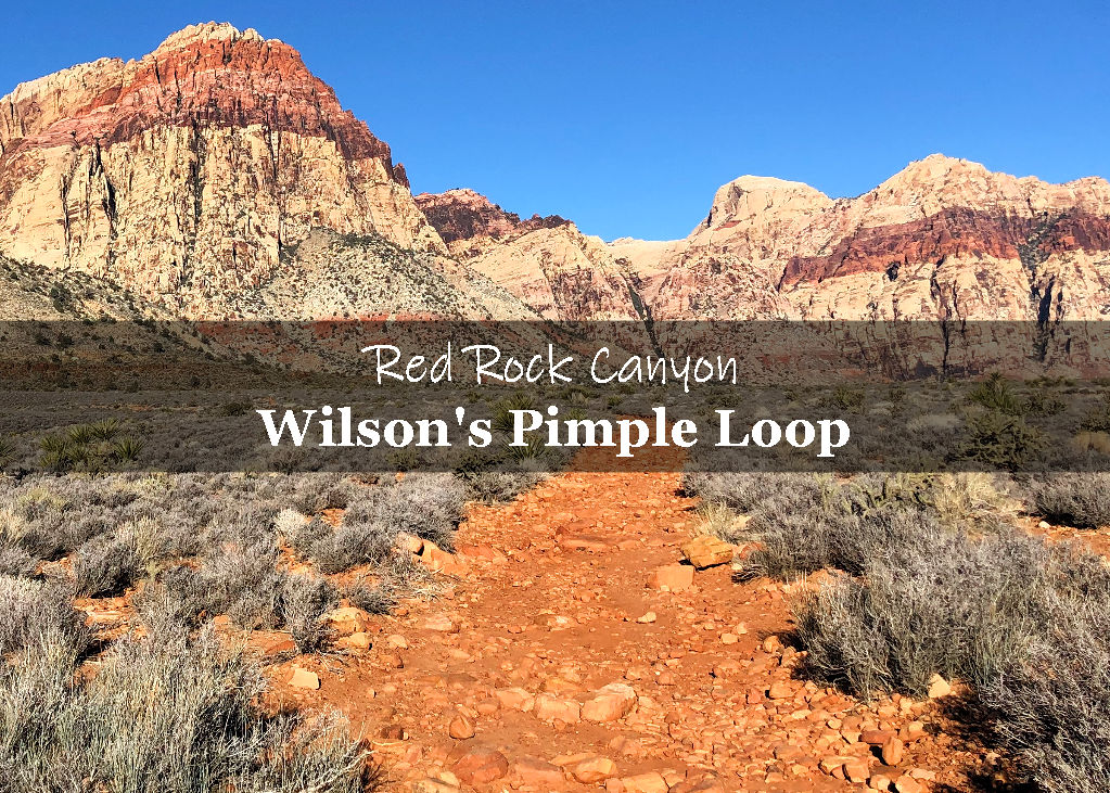 Wilson's Pimple LoopTrail Red Rock Canyon Nevada