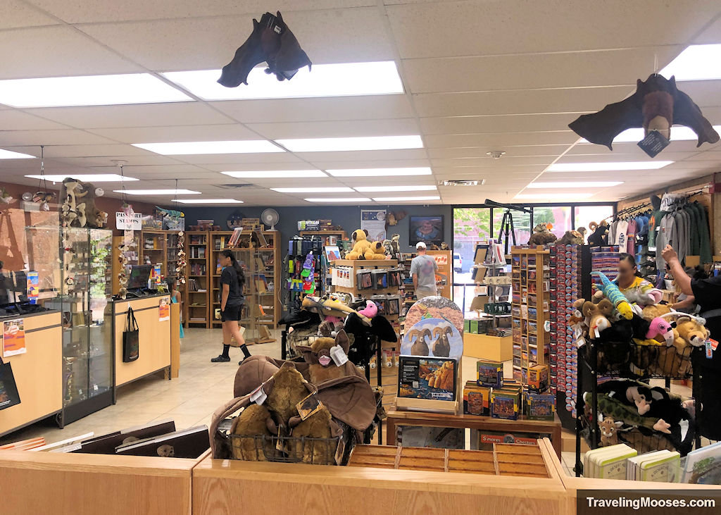 A Gift Shop full of items with shoppers perusing the items.