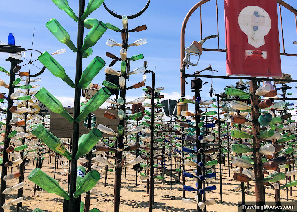 Colorful bottles shaped liked trees at Bottle Tree Ranch