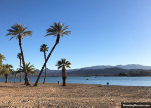 Palms trees on a sandy beach next to Lake Havasu