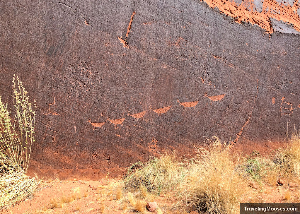 Big horn sheep looking drawings carved in sandstone canyon walls