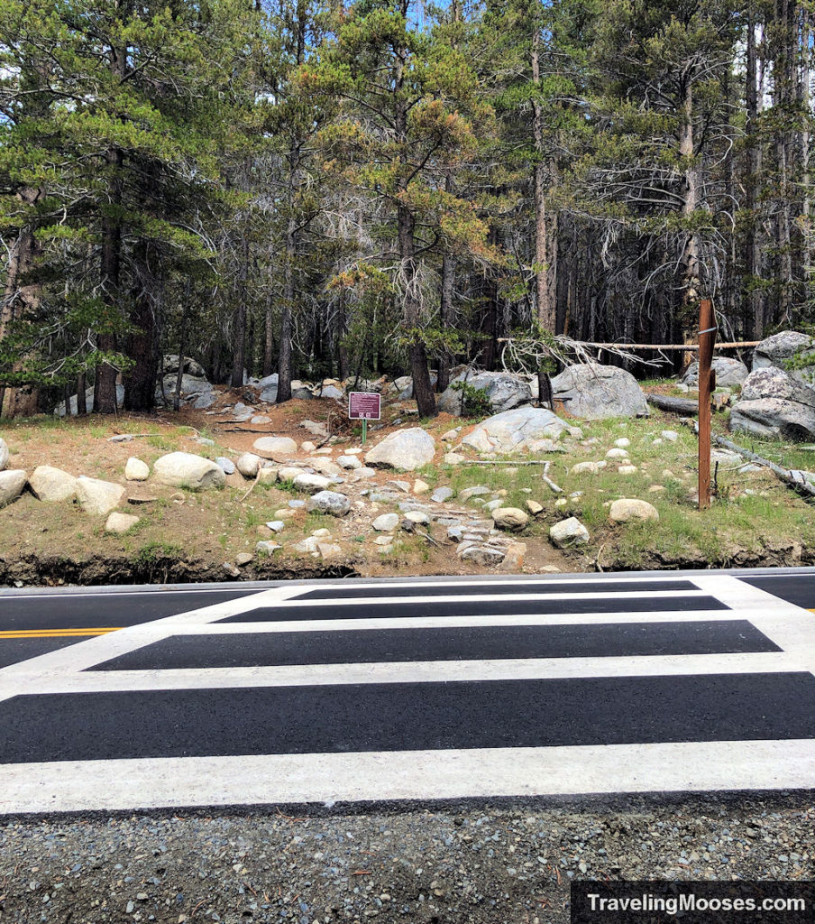 Large cross walk going over Tioga Road and continuing on the trail to Lembert Dome