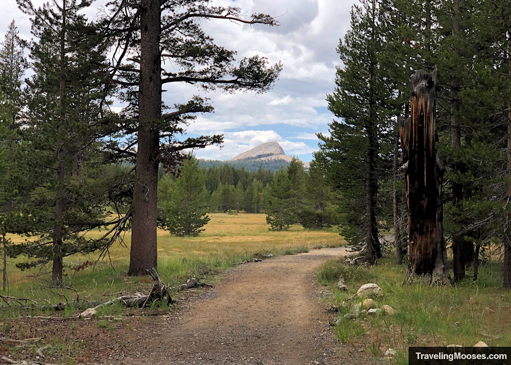 Gravel path winding next to a large meadow with a granite dome rising in the distance