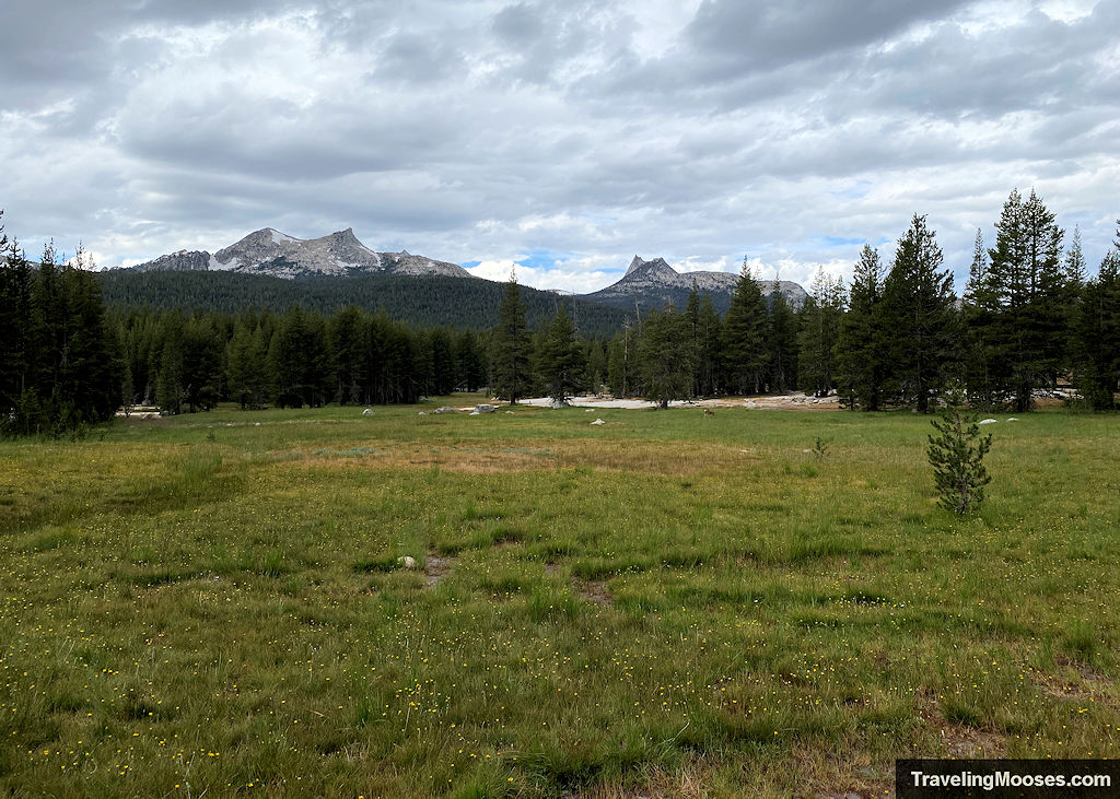 Lush meadow with a deer grazing on some grass, large mountains rise in the background on a cloudy day