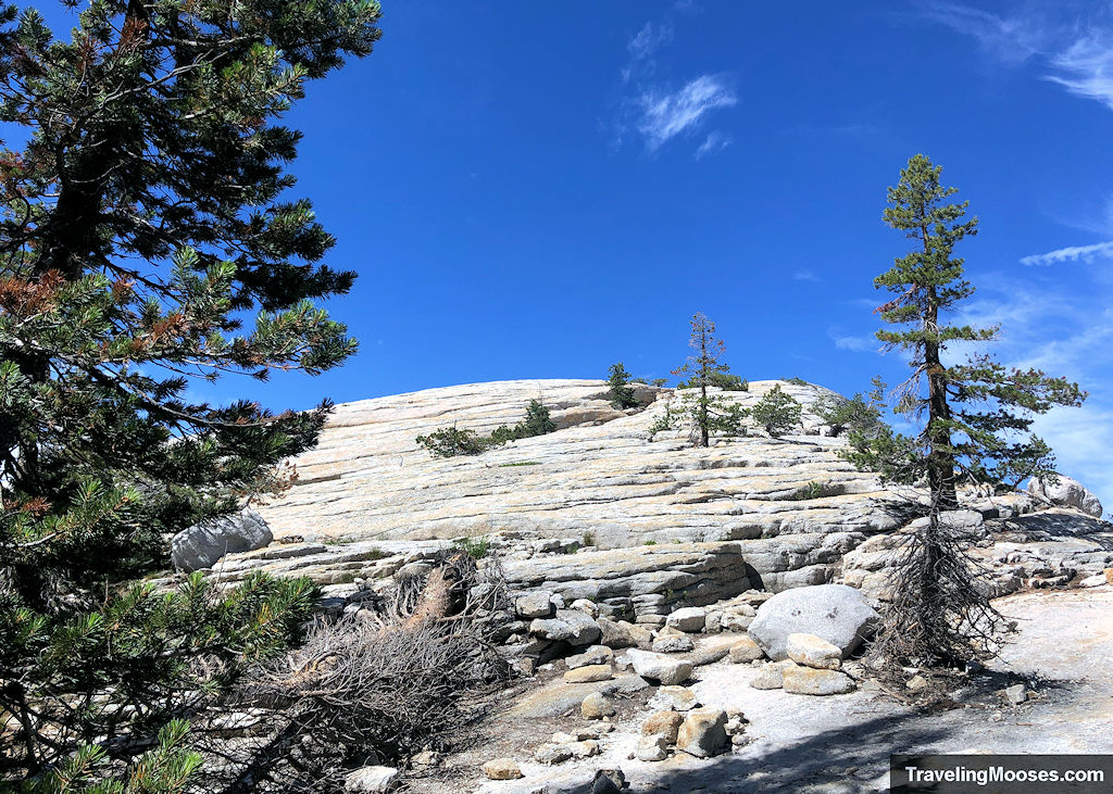 Start of the granite stone leading up to the summit of Lembert Dome