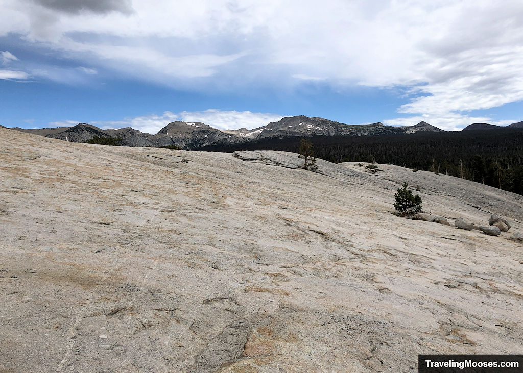 Smooth granite surface near the summit of Lembert Dome