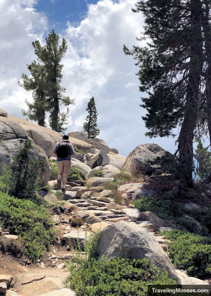 Man walking up a trail lined with large boulders and trees