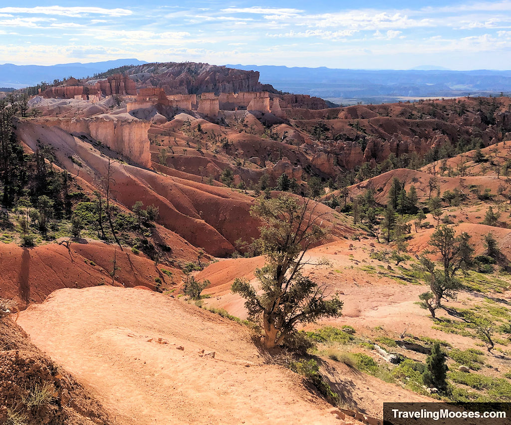 Bryce Canyon hoodoos in the canyon with sparse trees in the foreground