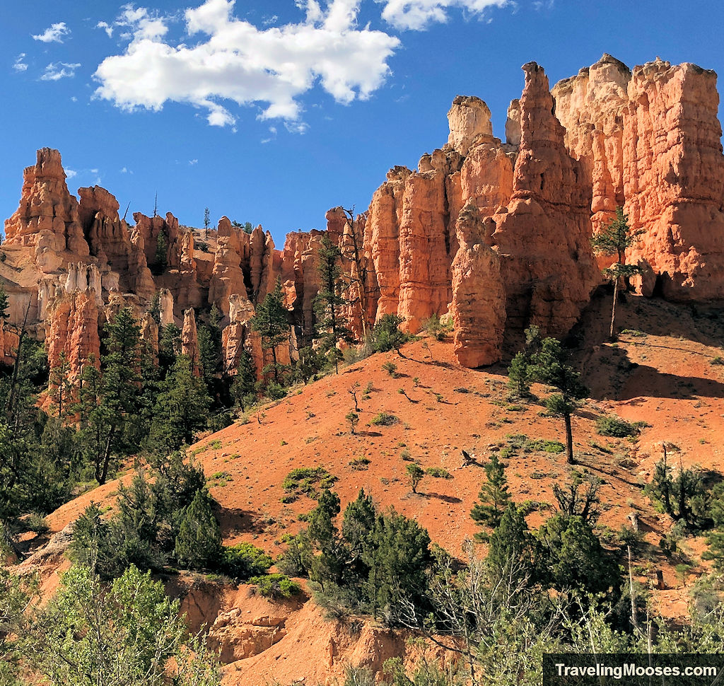 Tall redish brown hoodoos carved from rock