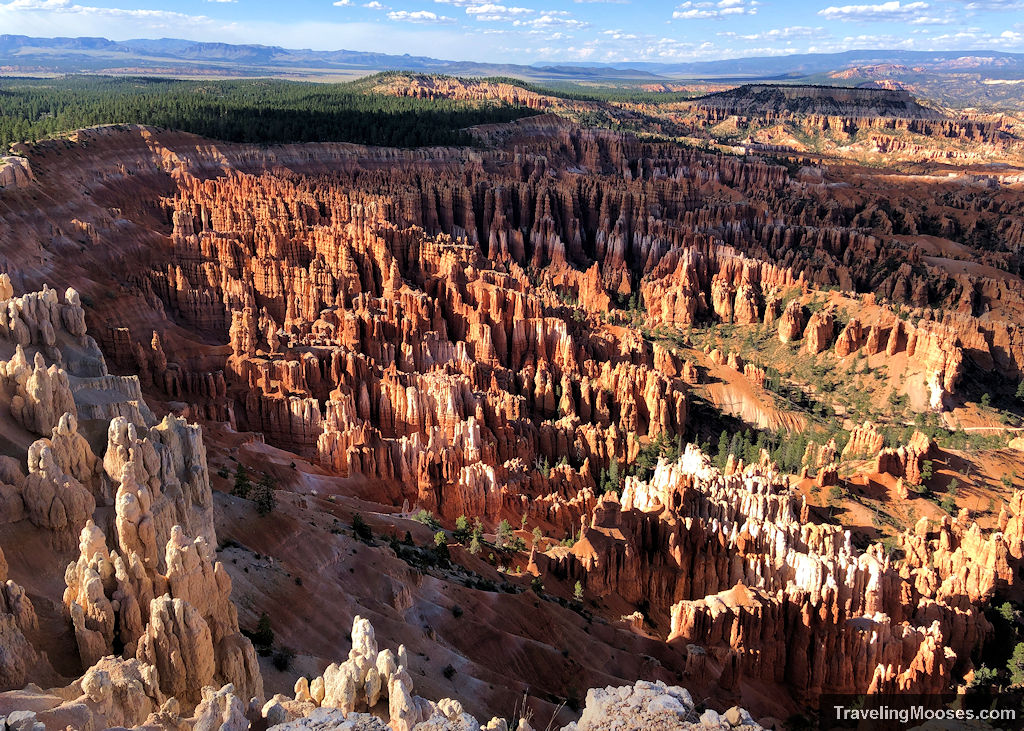 Large amphitheater filled with red and white hoodoos