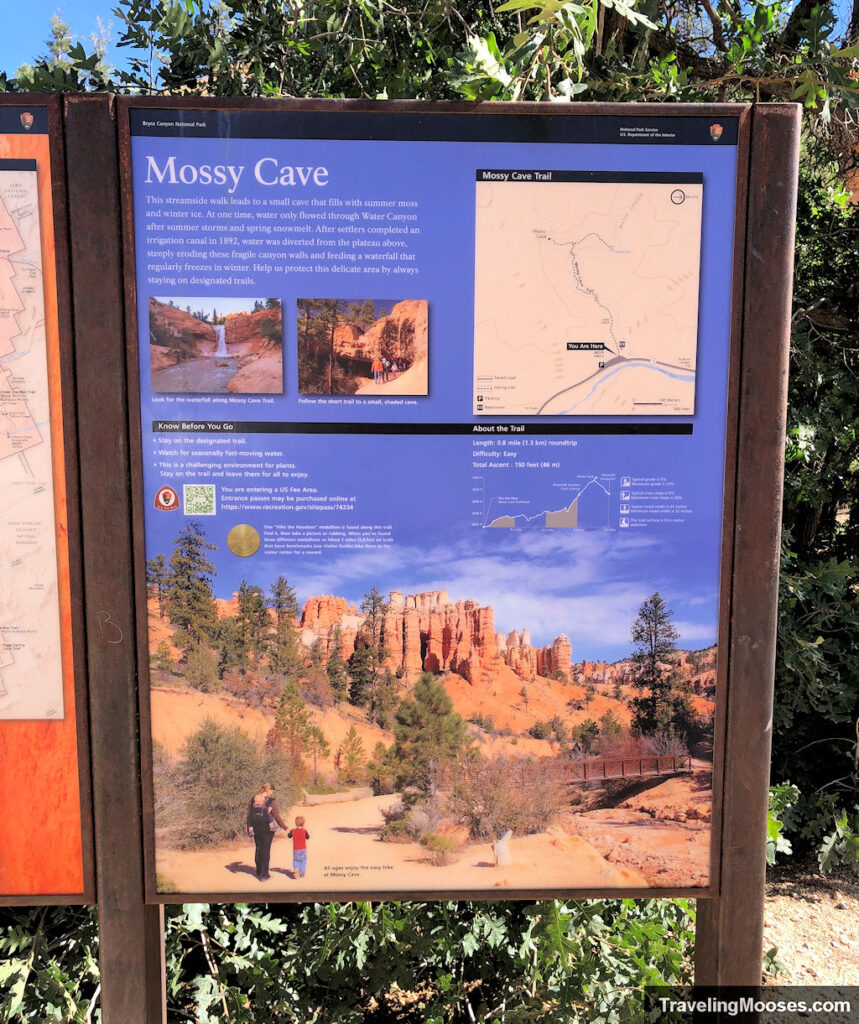 Information sign about the Mossy Cave Trail