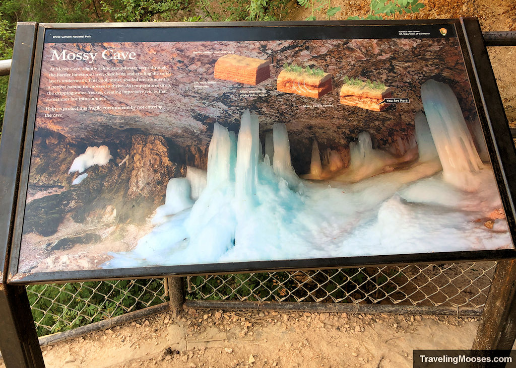 Information sign about Mossy Cave