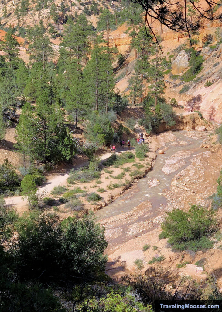 Hikers walking on a trail running directly next to the Tropic Ditch