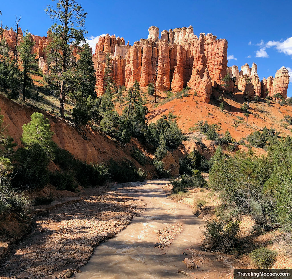 Stream winding through a desert climate towards towering red hoodoos