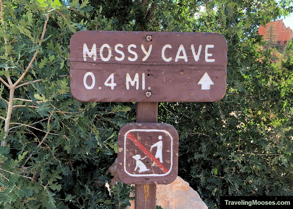 Mossy Cave mileage marker with an arrow pointing the way and a 0.4 miles etched in the wood