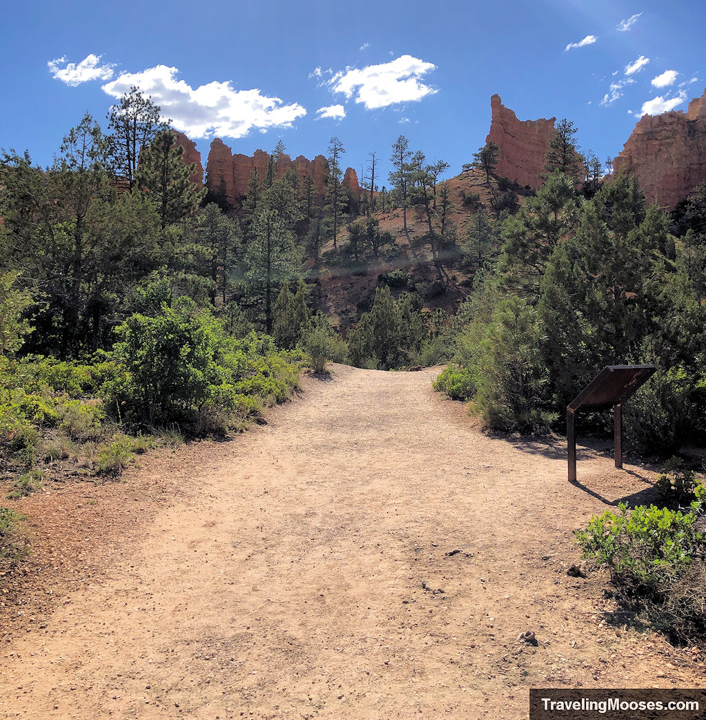 Wide flat packed dirt trail with hoodoos in the distance