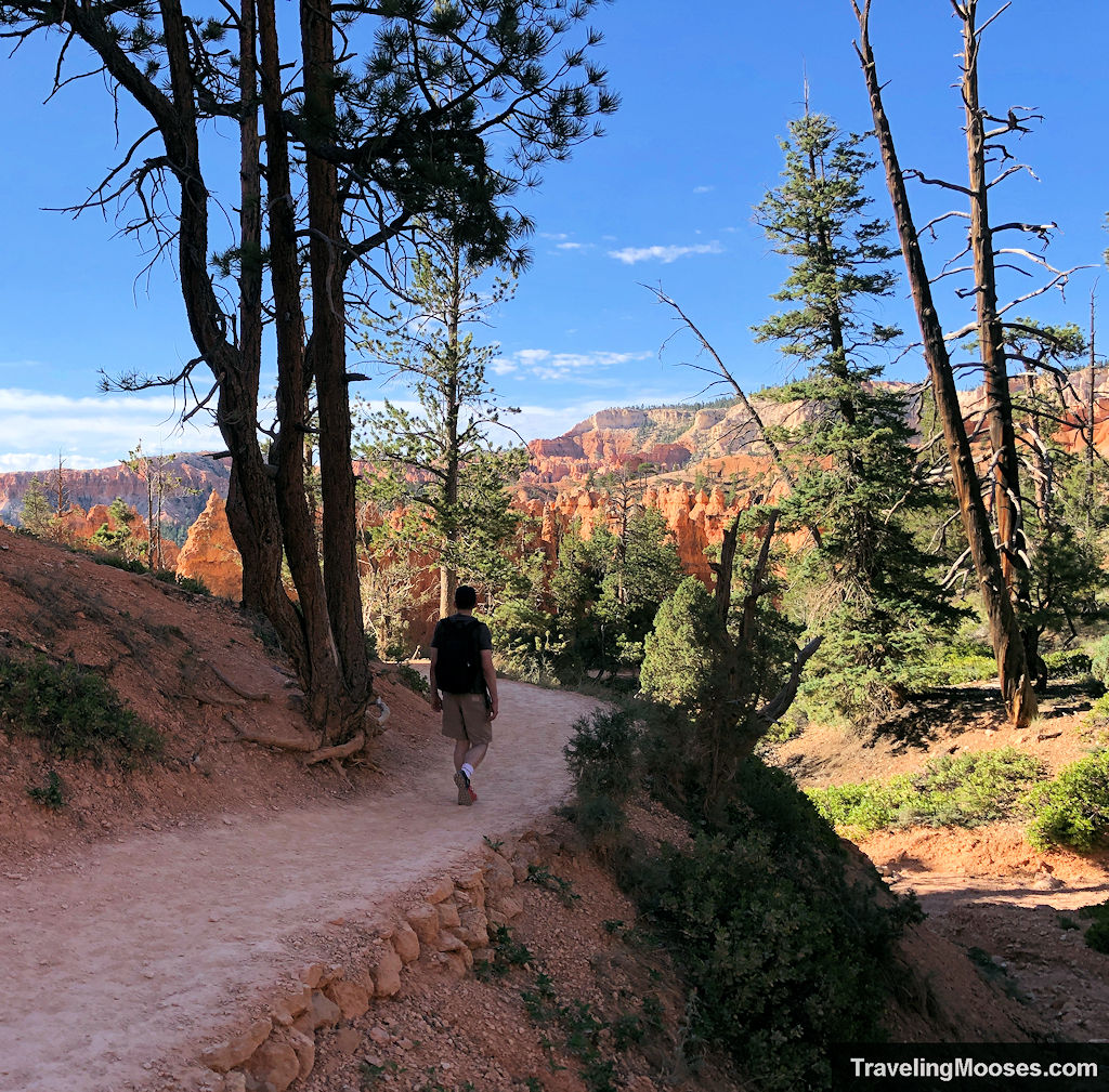 Man walking on a trail enjoying the hoodoo views