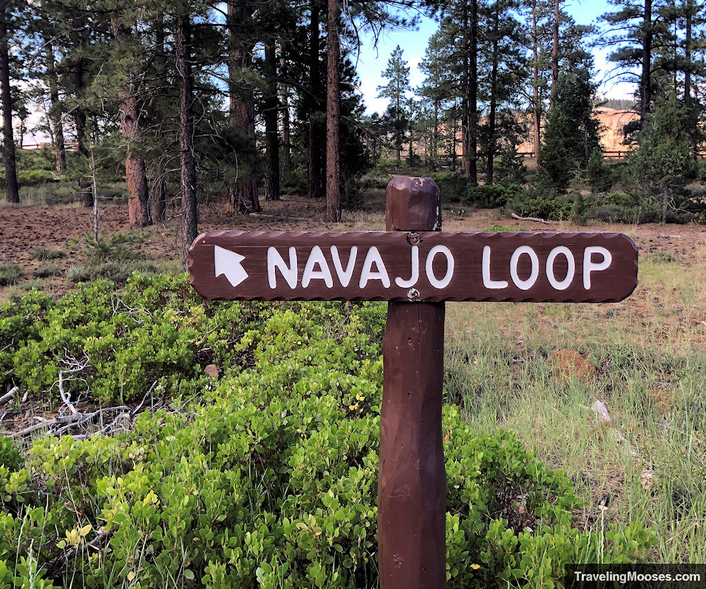 Wood trail sign showing the way to Navajo loop