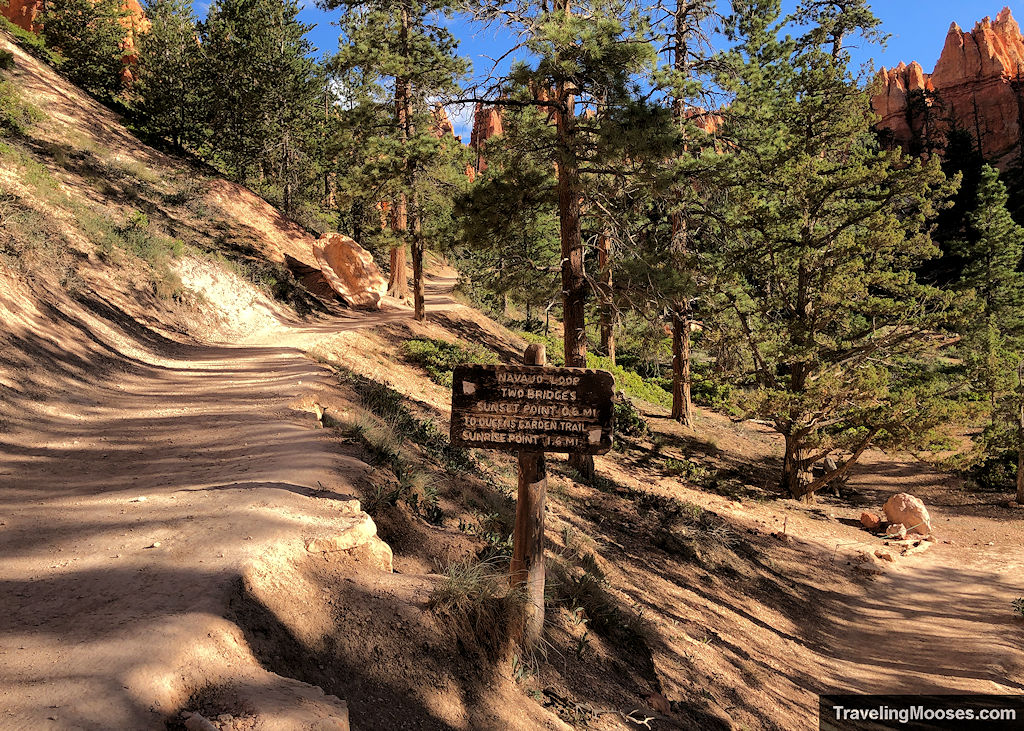 Trail split with a sign showing the way to the Navajo Loop or Queens Garden Trail