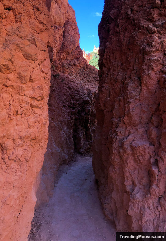 A hard packed dirt and rock trail leading through a carved stone