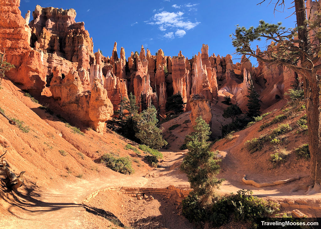 Path winding through the Queens Garden, a large group of hoodoos with pointy ends