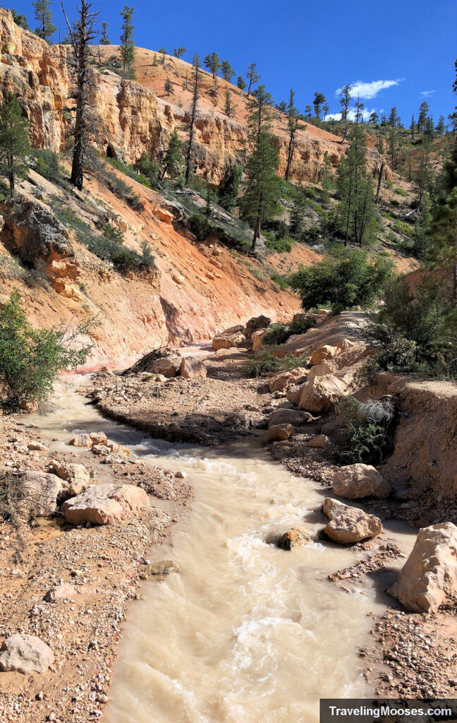 Stream winding through Bryce Canyon National Park