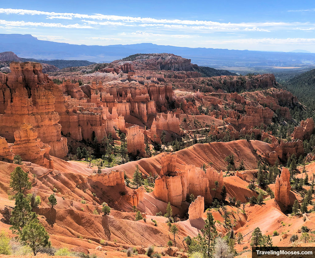 Hoodoos red and white rising from the canyon floor on a sunny day