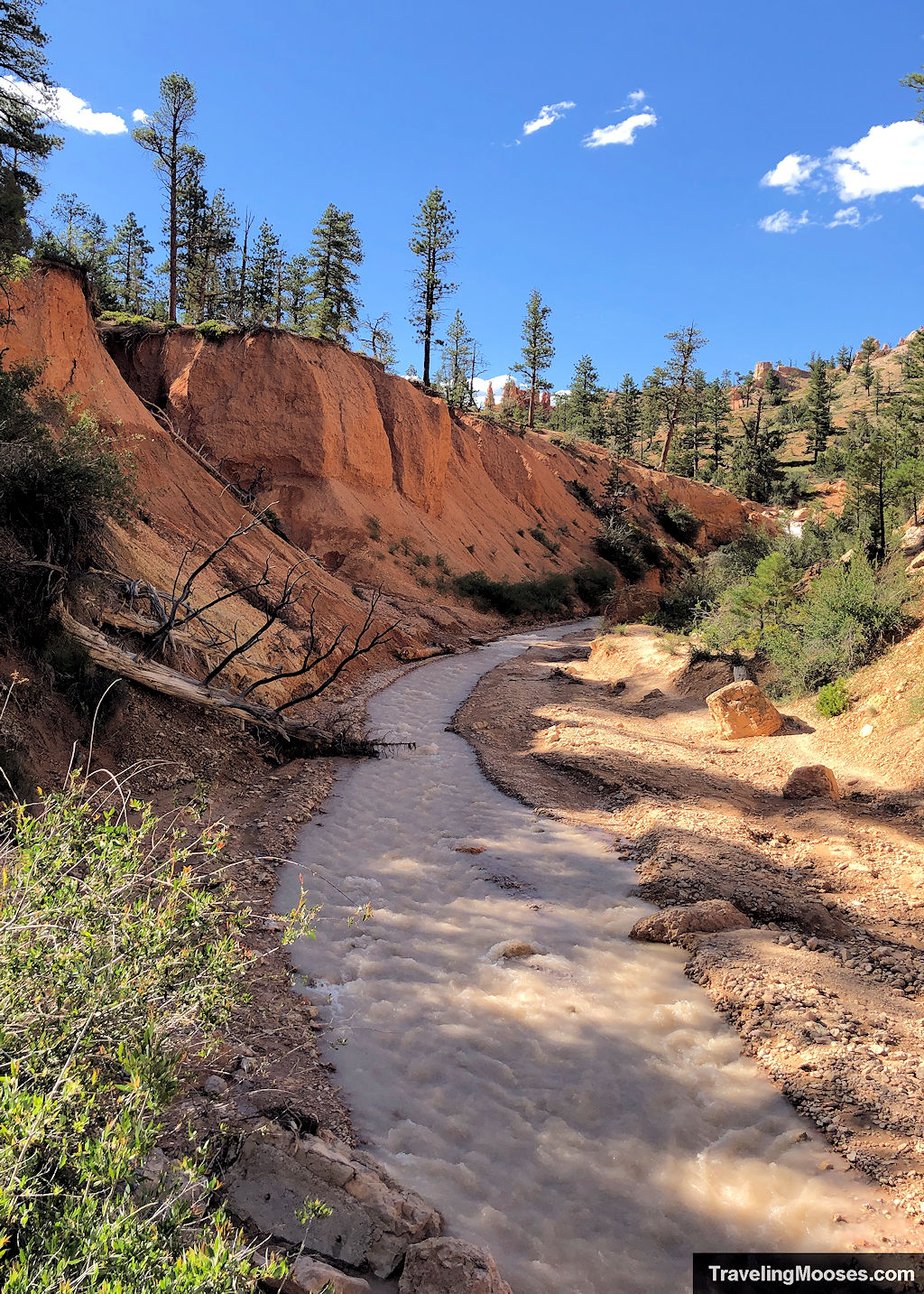 Muddied stream flowing the Tropic Ditch