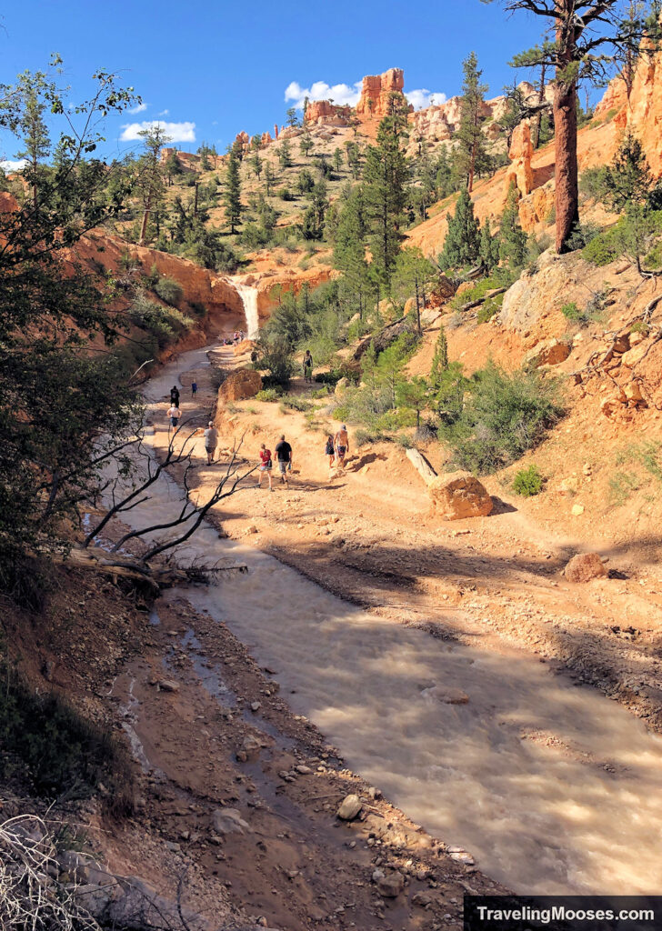 People exploring a stream that leads to a waterfall